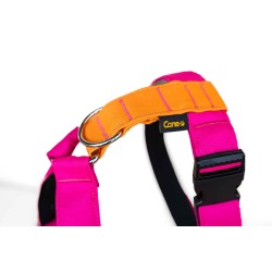 Pink&Orange - szelki guard