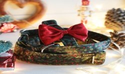 Obroża na zatrzask - Christmas collar