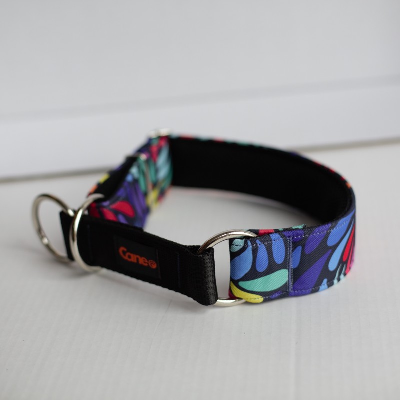 Colorful Drop - obroża półzaciskowa