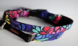 Colorful Drop - obroża półzaciskowa