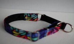 Colorful Drop - obroża półzaciskowa