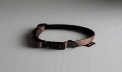 Obroża Beige - basic