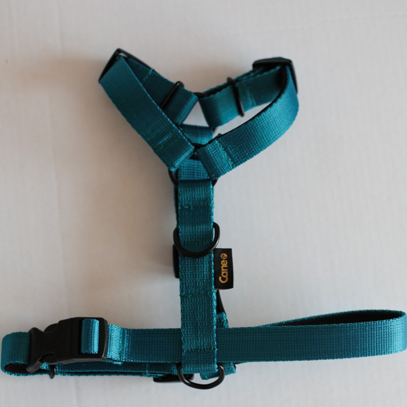 Szelki guard Blue- basic