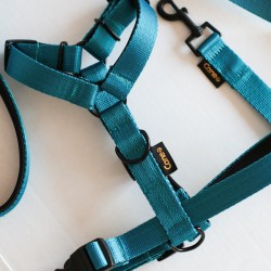 Szelki guard Blue- basic
