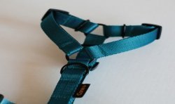 Szelki guard Blue- basic