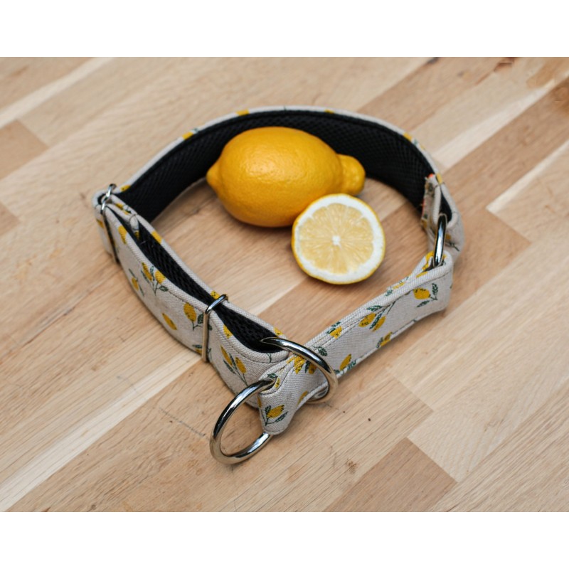 Lemon Limited Edition - obroża półzaciskowa