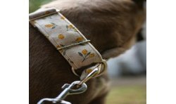 Lemon Limited Edition - obroża półzaciskowa