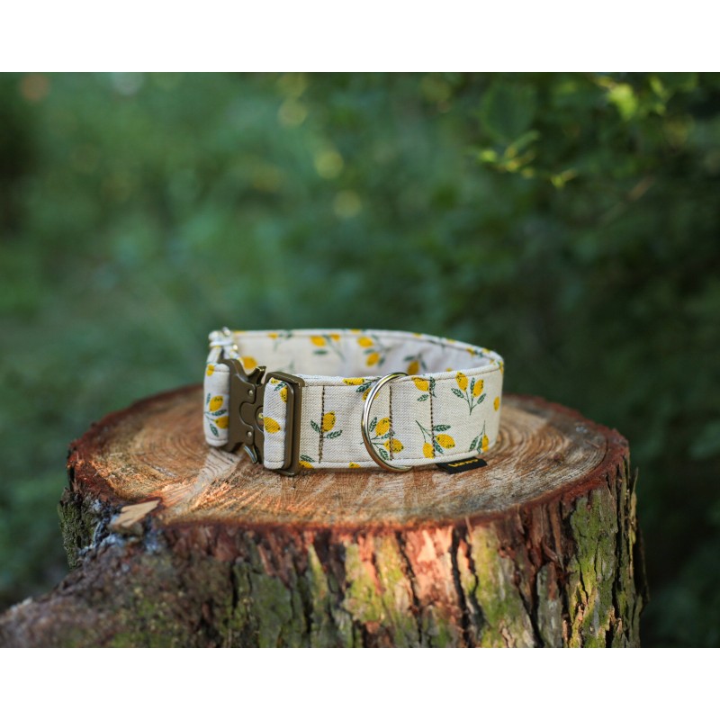 Lemon Limited Edition - szeroka obroża