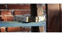 Lemon Limited Edition - szeroka obroża