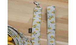 Lemon Limited Edition - smycz miejska