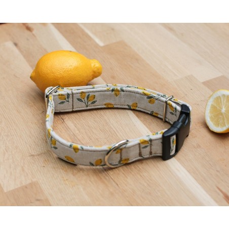 Lemon Limited Edition - obroża na zatrzask