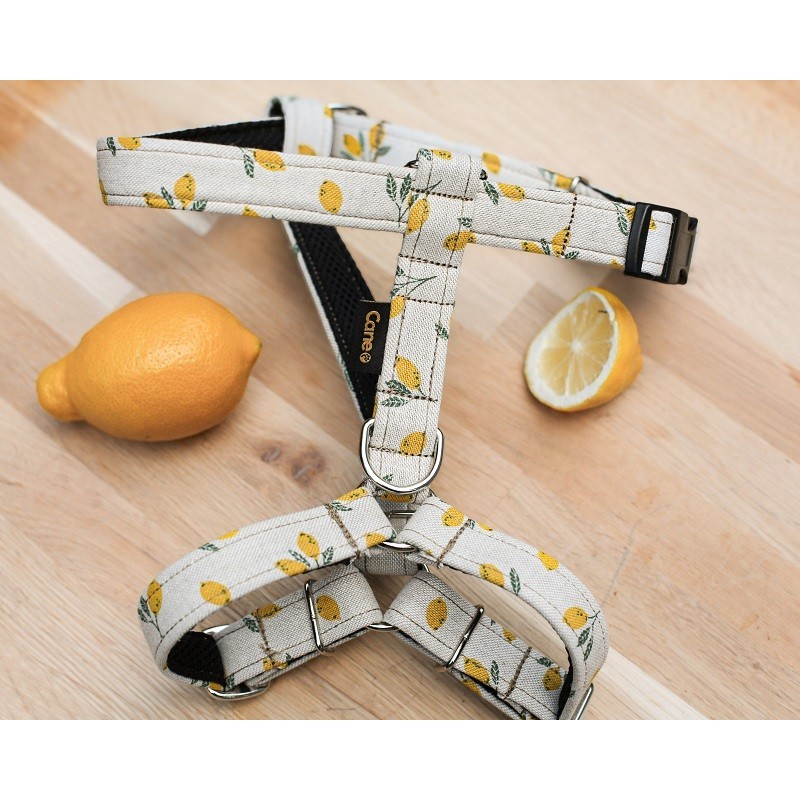 Lemon Limited Edition - szelki guard