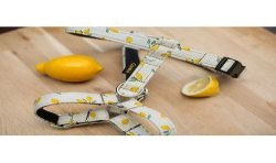 Lemon Limited Edition - szelki guard