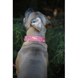 Christmas Cookies - Obroża na zatrzask