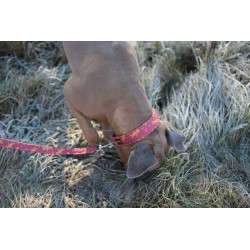 Christmas Cookies - smycz przepinana